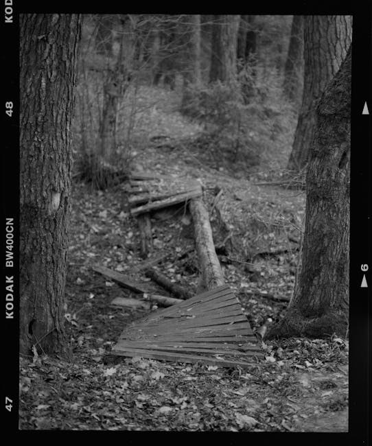 A black and white photograph of a forest scene depicting a fallen wooden structure that appears to be part of a broken bridge or pathway, with wooden planks scattered and leaning against a fallen log. The forest floor is covered with leaves and small rocks, and tall trees with thick trunks border the scene on either side. In the background, a narrow dirt trail or small clearing continues into the dense wooded area. This image may be used to illustrate the need for clearing or organizing outdoor space during a home relocation process, with Man With a Van Northwood focusing on packing and moving services that include managing outdoor and garden items as part of a comprehensive house removal.