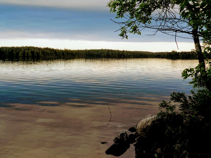 A tranquil scene of a lake with calm water reflecting the overcast sky above. In the foreground, there are large rocks along the shoreline, partially submerged in the shallow water, and some leafy branches from a nearby tree extending into the frame. Across the lake, there is a dense line of trees along the opposite bank, creating a natural horizon. The overall setting suggests a peaceful outdoor environment, suitable for activities such as relaxing during a home relocation or enjoying nature. The image showcases the natural landscape and outdoor environment that may be associated with residential or relocation services provided by Man With a Van Northwood.